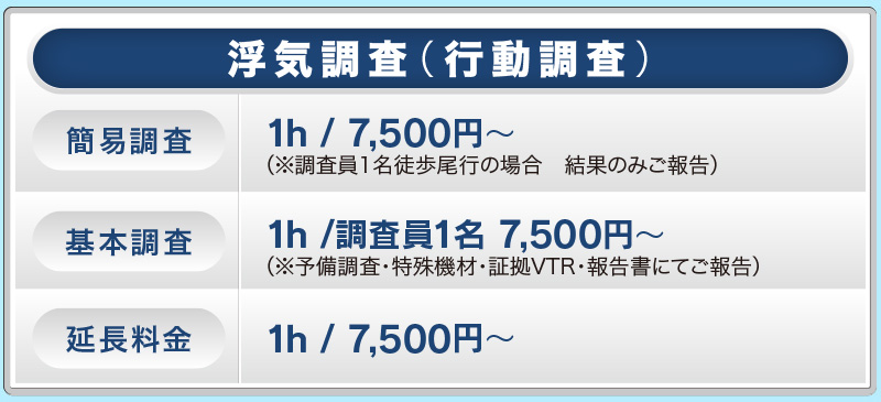 浮気調査(行動調査)