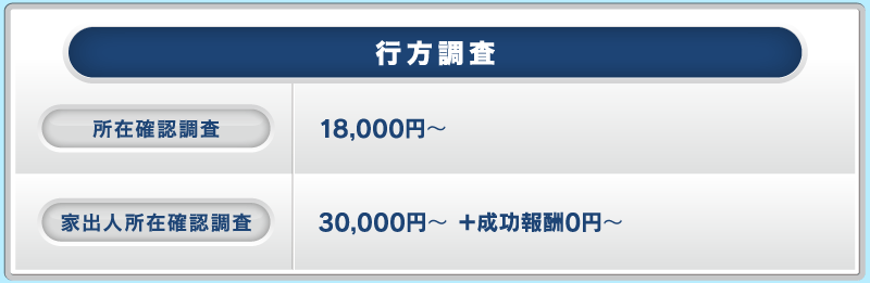行方調査