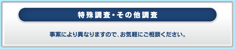 特殊調査・その他調査