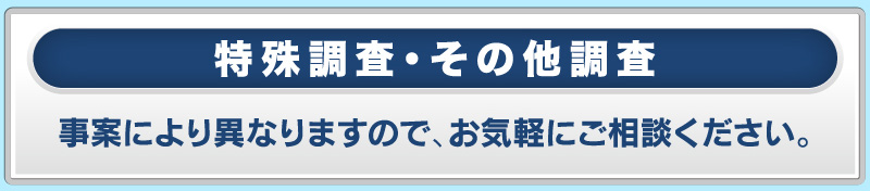 特殊調査・その他調査